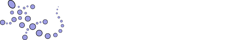 sparselizard-logo